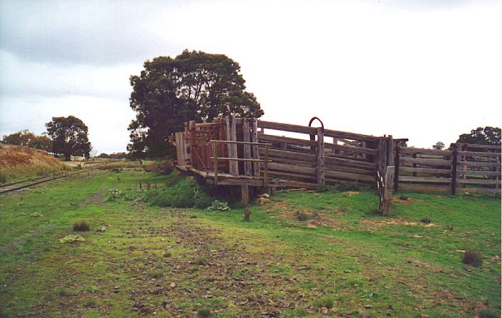
The cattle loader and associated yard are well preserved, although the goods
siding has been lifted.
