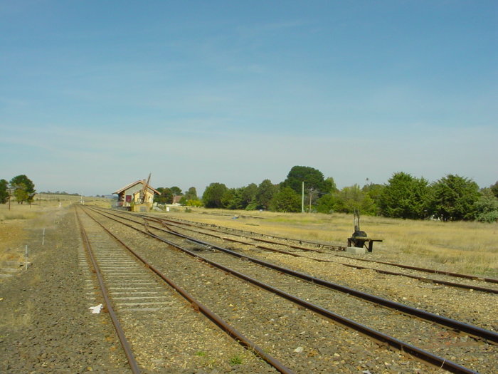 
The view looking south towards the goods yard and shed.
