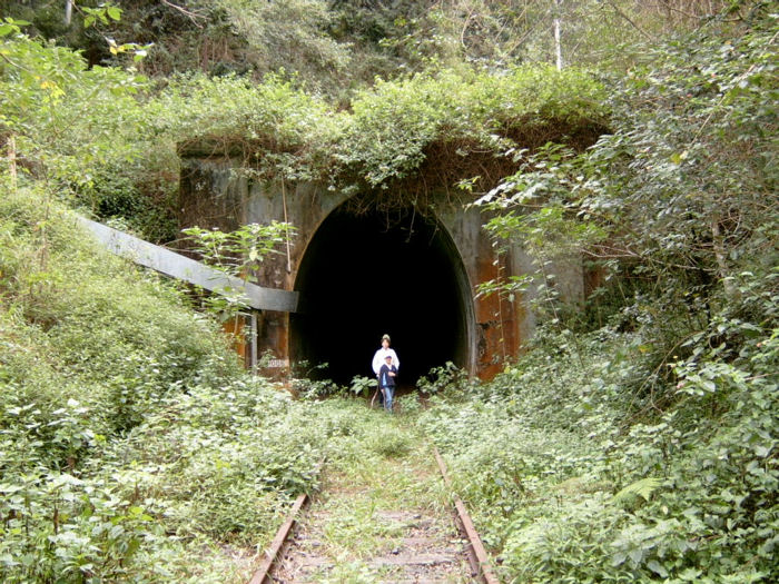View of the southern portal looking in the down direction. The encroaching vegetation is evident.