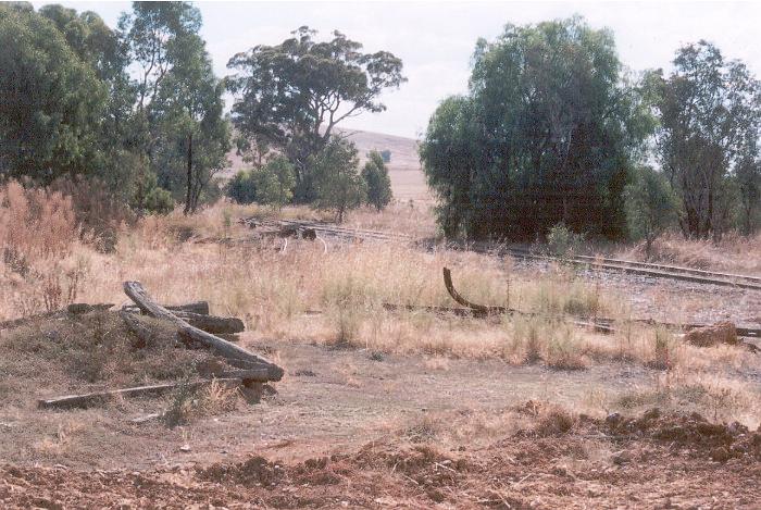 The same view twelve months later.  A new metal silo has been added by Graincorp necessitation the removal of the remaining siding at Burrumbuttock.