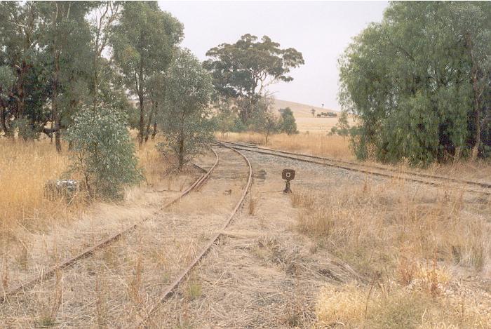The view from the Burrumbuttock yard looking west to the junction with the main line at 'B' frame.  In 2004 the trackwork and interlocking was still intact.