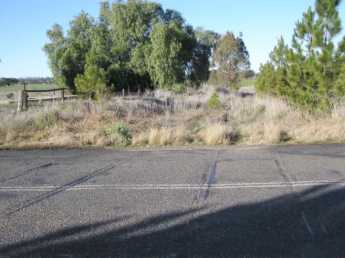 Looking east at Urana Road level crossing, showing points and rails still in-situ.