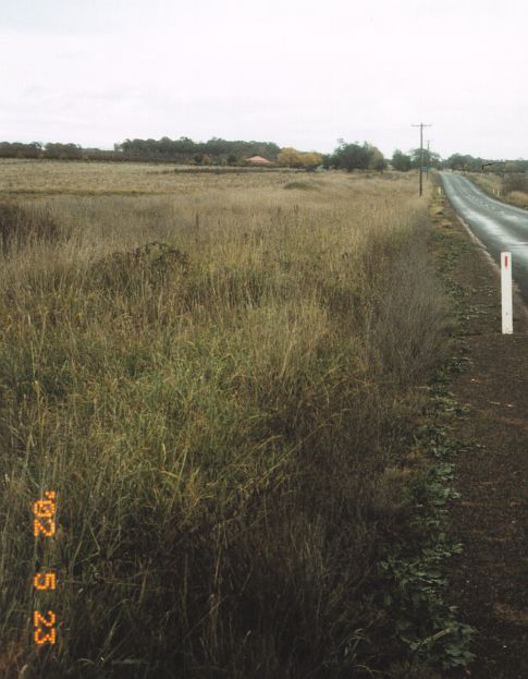 
Formation of old Cadia Mine line looking west on the northern side of the
Spring Hill to Orange Road just west of Spring Hill.
