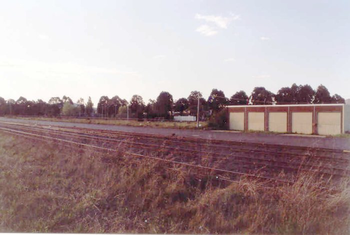 A view looking across the yard.