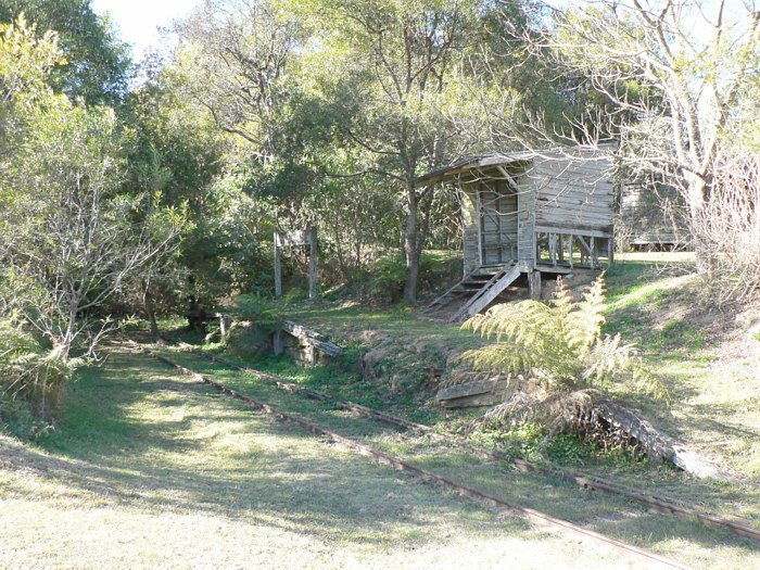 The view looking up the line along the remains of the station, whichis slowly disappearing beneath the vegetation. Note the use of a check rail, due to the curve radius.