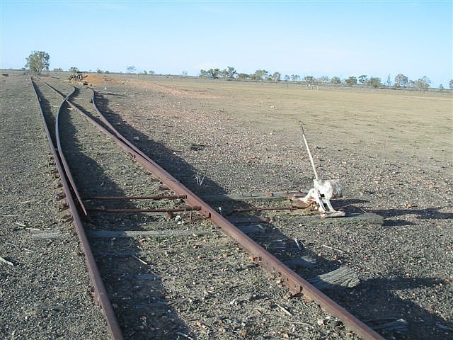 
The up end of the siding, looking in the direction of Brewarrina.
