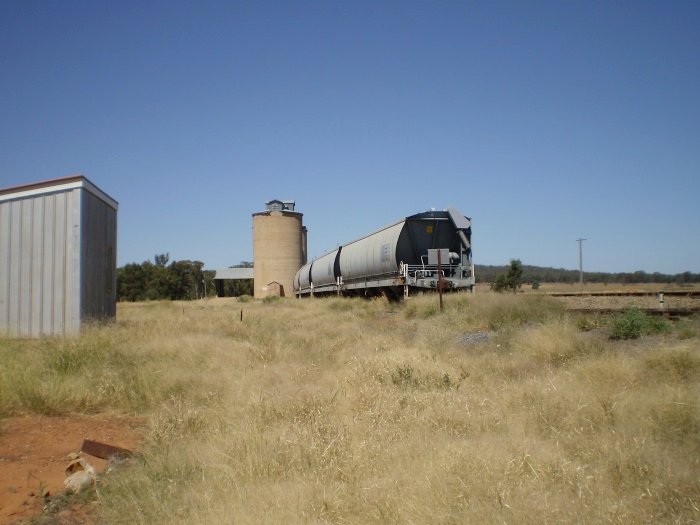 The view looking east towards the silos.