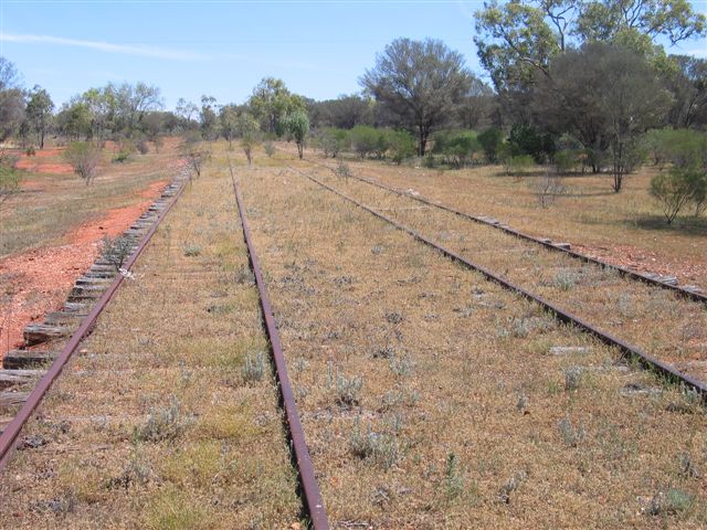 
Apart from shrubs and tree, the yard area has remains relatively clear.
