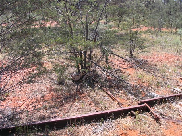 
Time has seen this points lever become part of the vegetation after 30 years
of neglect.
