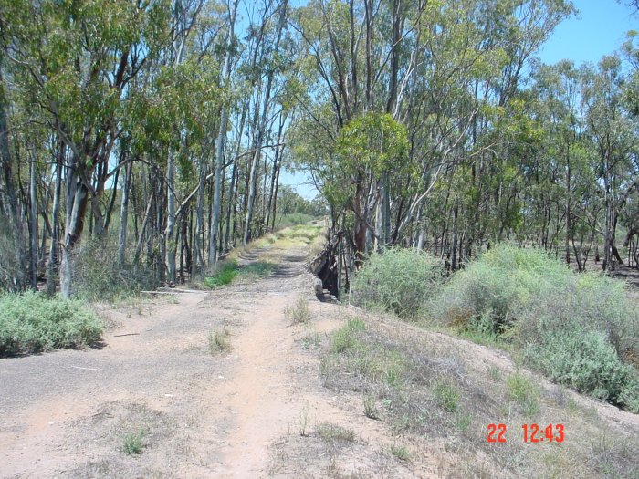 
The view looking east along a low bridge towards Murrabit.
