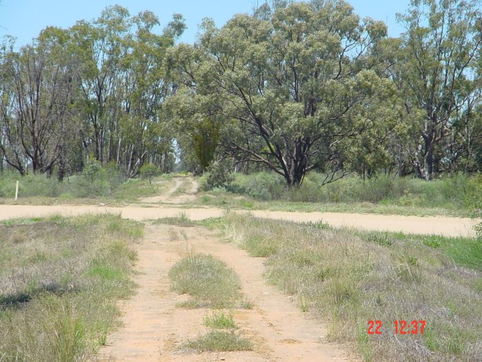 
The view looking west from Coobool where the formation is crossed by
a dirt road.
