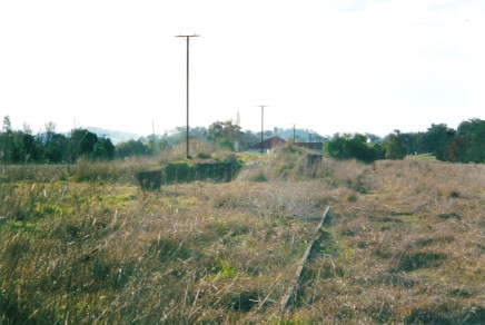 
The view in the direction of the overgrown goods bank.
