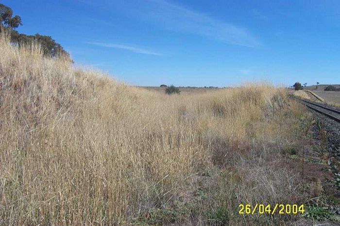 
The grassy section in the middle is where the siding left the main line.
