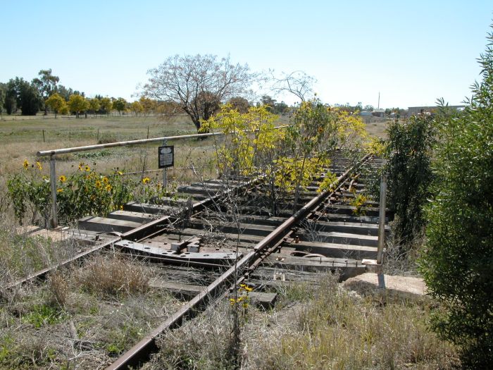 The overgrown turntable, looking towards the main station area.
