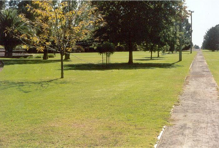 
The view of the Corowa yards from the dead end. The tracks now form paths
through the grassed areas of the park and the turntable can be seen next
to the palm tree at the far left.
