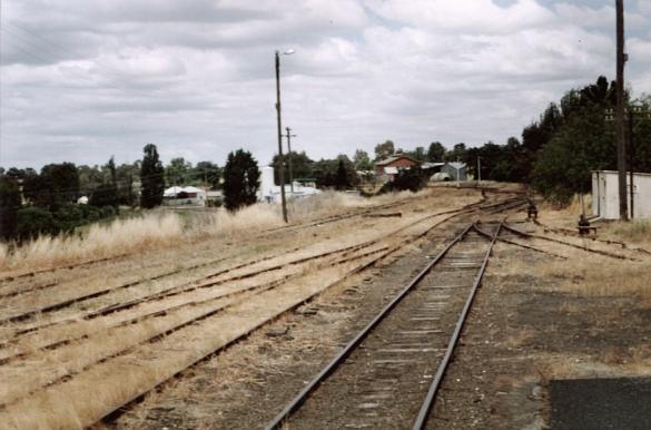 
A view looking south across the yard.
