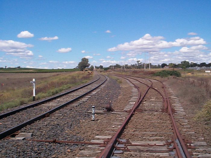 
The rusty sidings serving the Cowra Stockyards, about 5km south of the
town.
