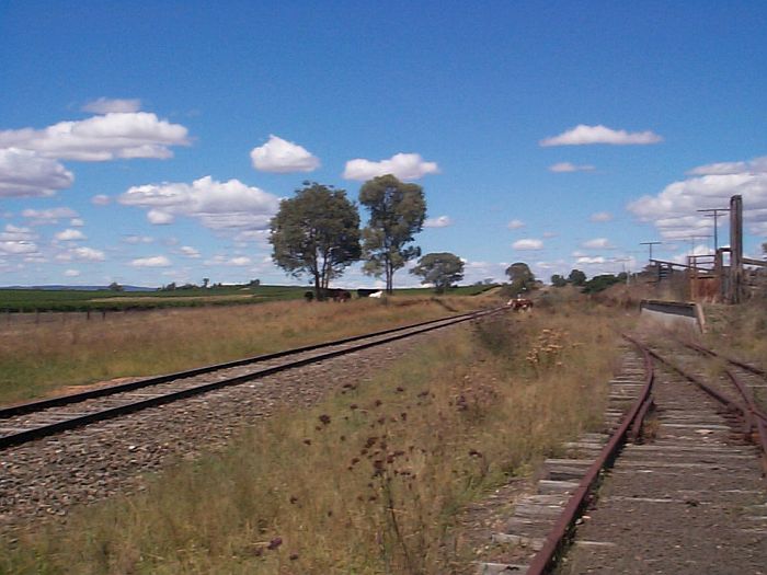 
The remains of the cattle loading bank, on the stockyards siding.
town.
