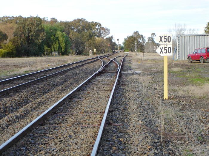 The truncated branch to Corowa. The white stop block can be seen in the distance.