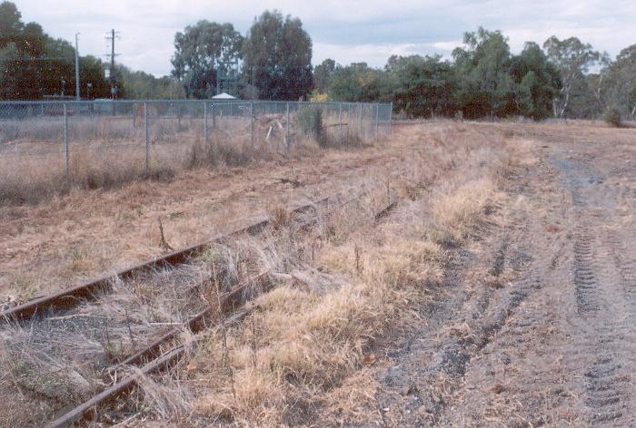 The end of the now disconnected Holbrook branch line at Culcairn.