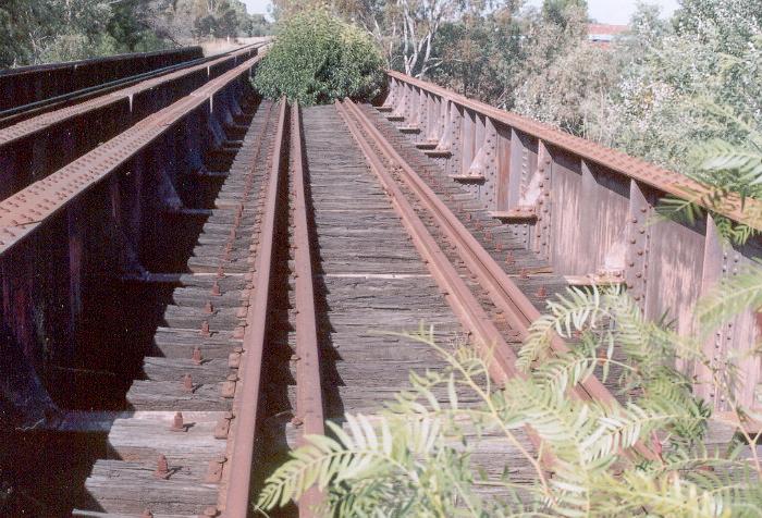 Close-up of the decking and girders on the Corowa line bridge.  The trees are growing up from the bank below and through the sleepers, not on the bridge itself.
