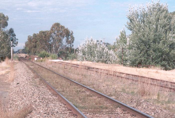 A line-side view looking south.  The stop on the Corowa branch can be seen just before the bridge over the Billabong Creek.