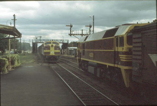 42220 waits patiently in the loop waiting to head south while 42103   42214 rumble north on a dark and gloomy day in 1980.