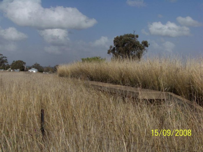 The overgrown remains of the platform.