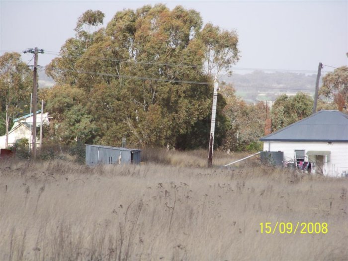 The remains of a gangers shed in the overgrown yard area.