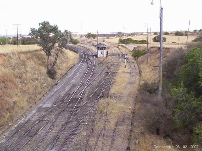 
The view from the road bridge looking towards Cootamundra.  The line
to Cowra branches of the to right of the Demondrille North Signal Box.
The station was a pair of island platforms on the main and branch lines
just beyond the signal box.  The overgrown line on the far right served
a dock platform just beyond the box.

