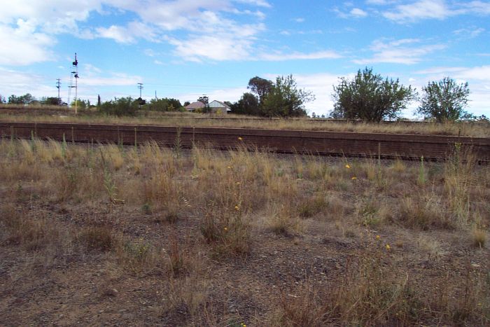 
A ground-level view of the branch line platform.  The main south line is
visible in the background.
