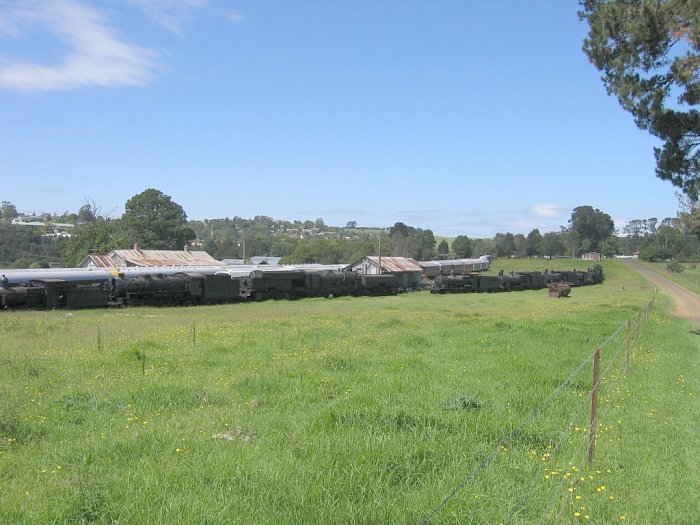 The yard is full of preserved rolling stock. The roof of the station is visible on the left with the goods shed in the centre.