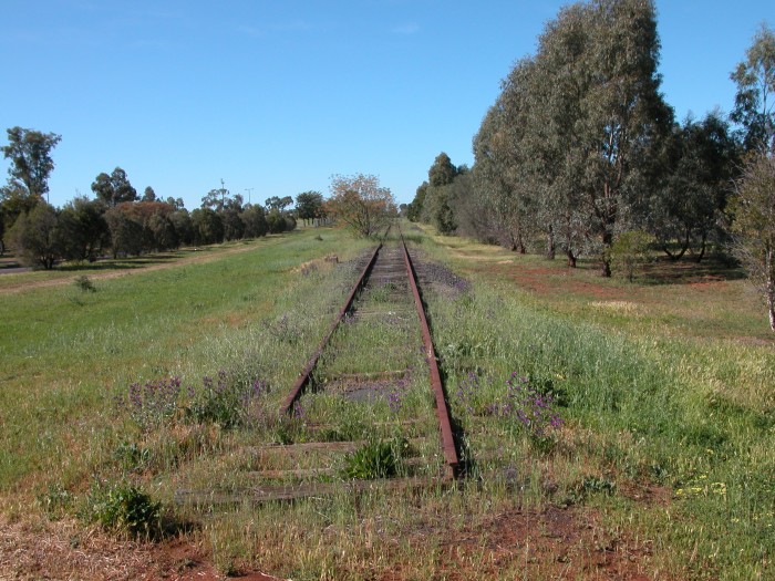 
The now-closed line to Molong has been lifted from Wingewarra Street
to Dubbo East Junction.  This is the remains of the northern end of the
line.
