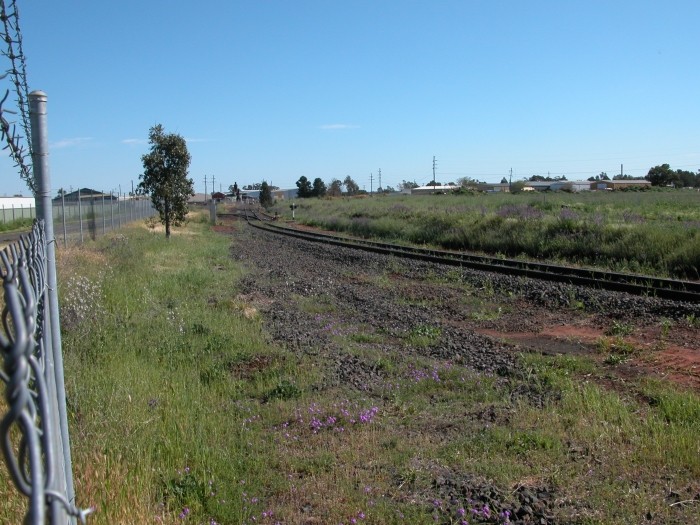 
The site of the original junction between the Main Western Line and
the Dubbo-Molong branch line. No trace remains of the branch line at
the junction.
