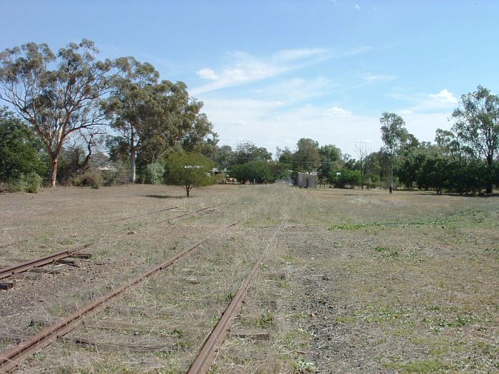 
Looking across the yard, the terminus is in the distance.
