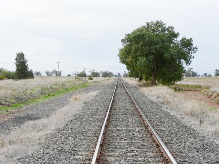 The view looking north through the location. On the left was a loop siding and loading bank. The trees mark the likely location of the platform.
