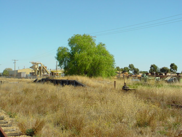 
The platform remains is disappearing under long grass, in this view looking
towards Wagga.
