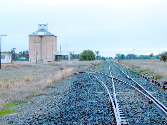 The view looking north.  The remains of the station are visible on the right of the line in the distance.  The loading bank is just before the large tree on the left.