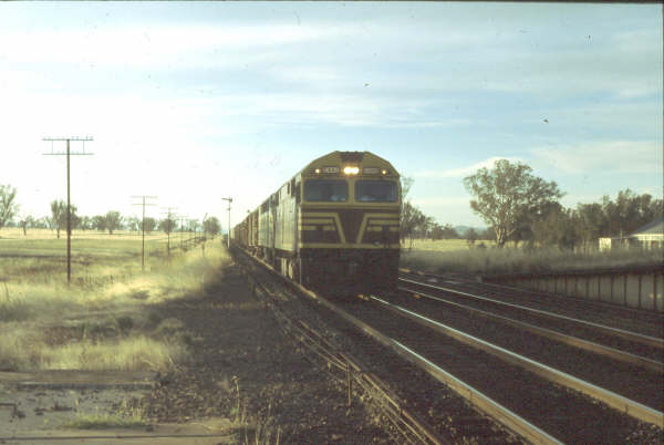 8009   4201 in "125" colours rumbles north from Albury as it approaches Gerogery.