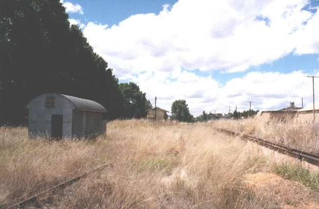 
An view of the overgrown platform looking towards Tumut. The mens toilets
are in the foreground and the loading bank is on the right of frame.
