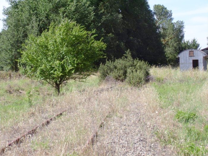 The view looking down the main line towards the station.