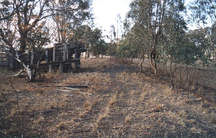
Nestled in the trees are the remains of a cattle loading ramp.
