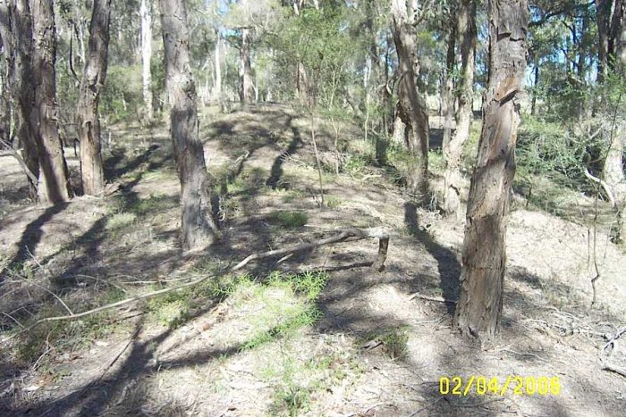 Looking back from the top of the mound of earth. A rail type formation can clearly be seen, leading possibly to the one time coal mine.