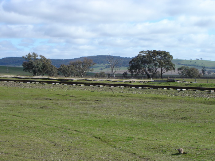 Some foundations, probably either the goods or grain shed, near the one-time station location.