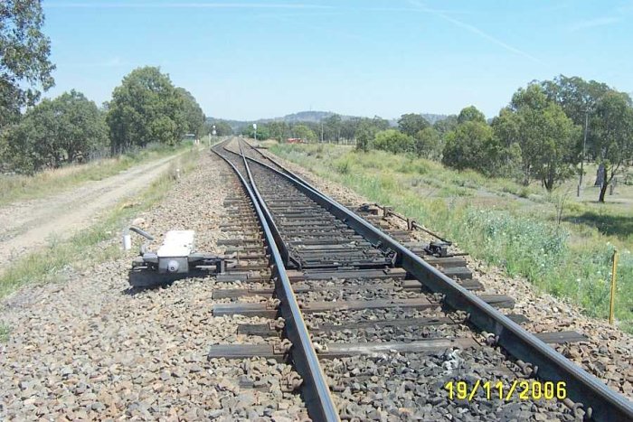 The start of Grasstree Loop looking towards St Heliers.