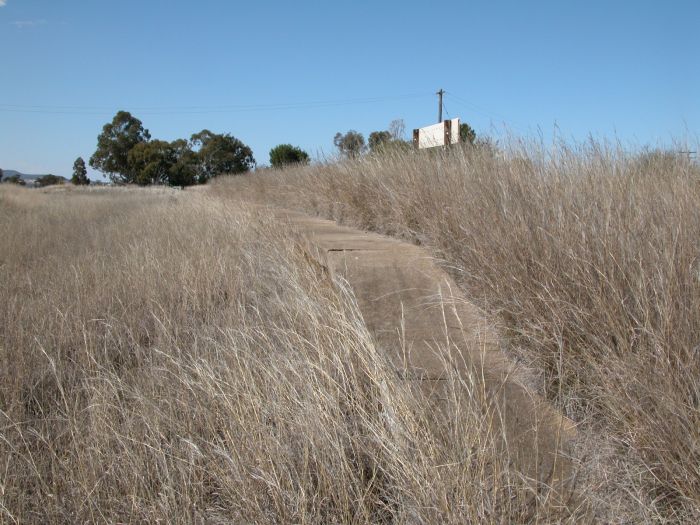 
The view looking along the overgrown platform, towards Inverell.
