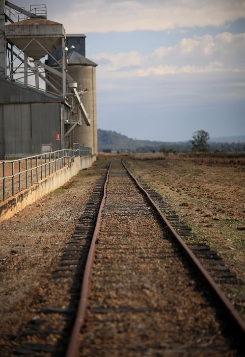 The view looking along the line past the grain silo, in the direction of Moree.