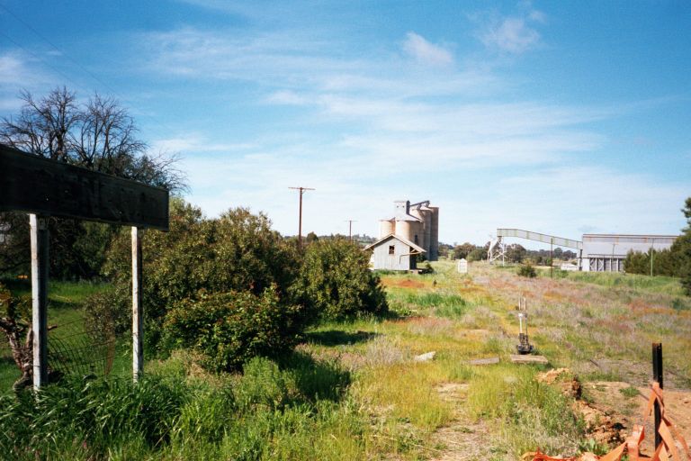 
A view of the overgrown yard at Grenfell.
