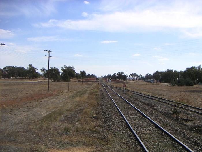 
The down end of the yard, looking towards Narrandera.
