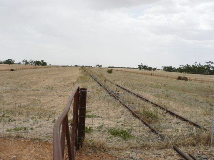 The view looking west.  No trace remains of the one-time station.